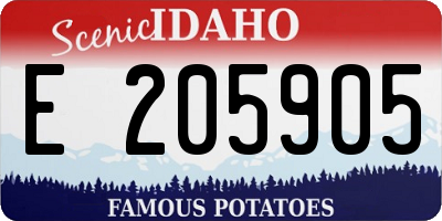 ID license plate E205905