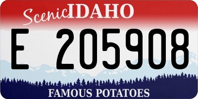 ID license plate E205908