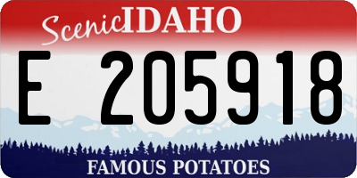 ID license plate E205918