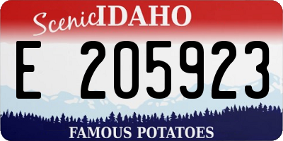 ID license plate E205923