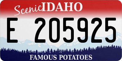 ID license plate E205925