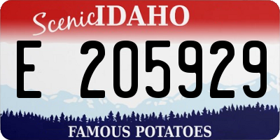 ID license plate E205929