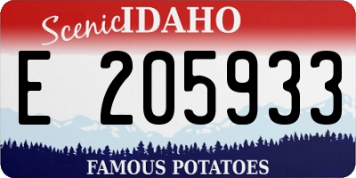ID license plate E205933