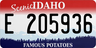 ID license plate E205936