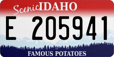 ID license plate E205941