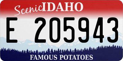 ID license plate E205943