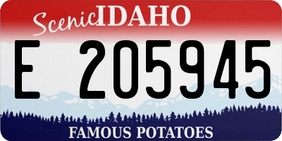 ID license plate E205945