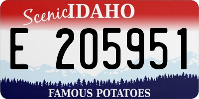 ID license plate E205951