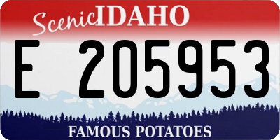 ID license plate E205953