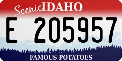 ID license plate E205957