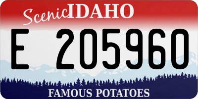 ID license plate E205960