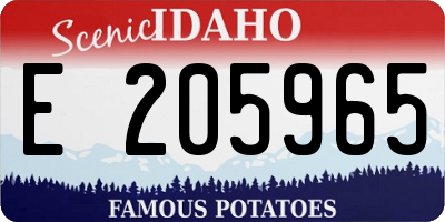 ID license plate E205965