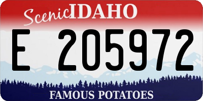 ID license plate E205972