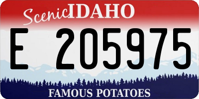 ID license plate E205975