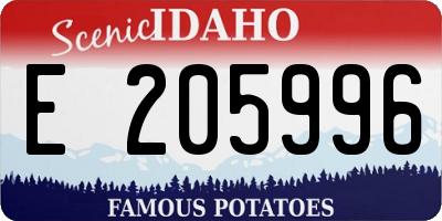 ID license plate E205996