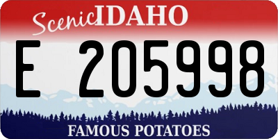 ID license plate E205998