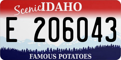 ID license plate E206043