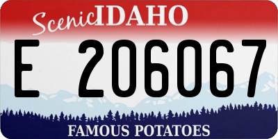 ID license plate E206067