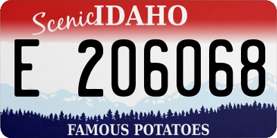 ID license plate E206068