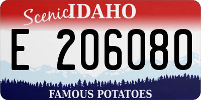 ID license plate E206080