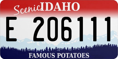 ID license plate E206111