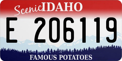 ID license plate E206119