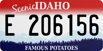 ID license plate E206156
