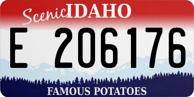 ID license plate E206176