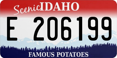 ID license plate E206199