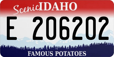 ID license plate E206202