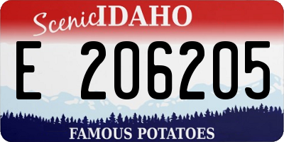 ID license plate E206205