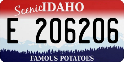 ID license plate E206206