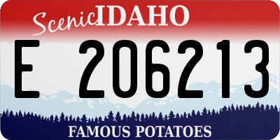 ID license plate E206213