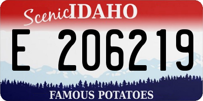 ID license plate E206219