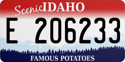ID license plate E206233
