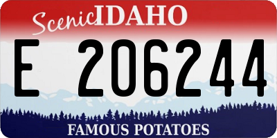 ID license plate E206244