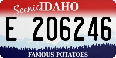 ID license plate E206246