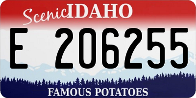 ID license plate E206255