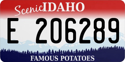 ID license plate E206289