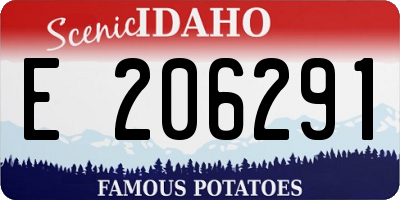 ID license plate E206291