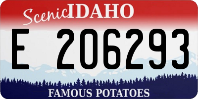 ID license plate E206293