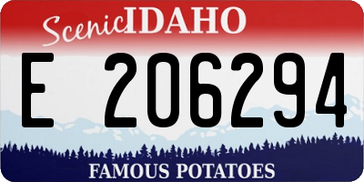 ID license plate E206294