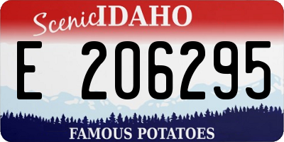 ID license plate E206295