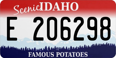 ID license plate E206298