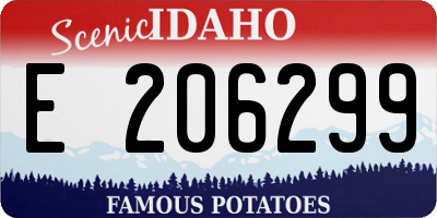 ID license plate E206299
