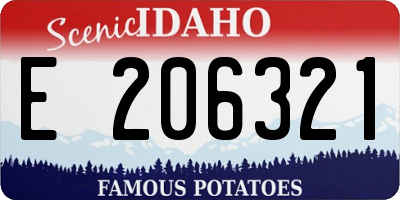 ID license plate E206321