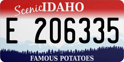 ID license plate E206335
