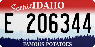 ID license plate E206344