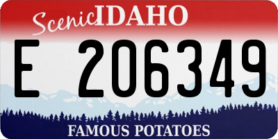 ID license plate E206349