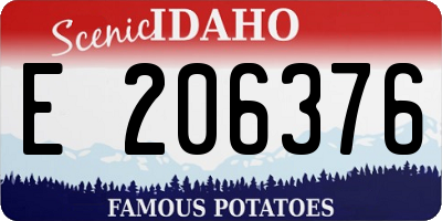 ID license plate E206376